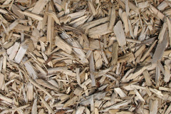 biomass boilers Aymestrey